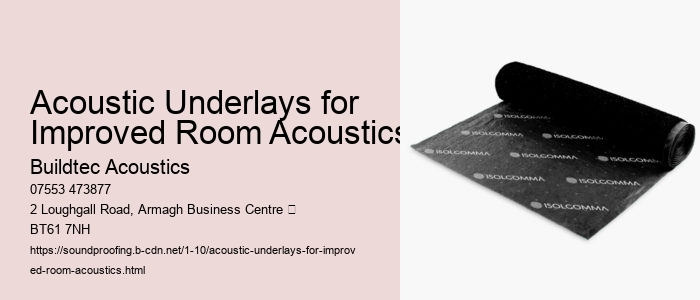 Addressing Echo and Reverberation with Acoustic Underlays